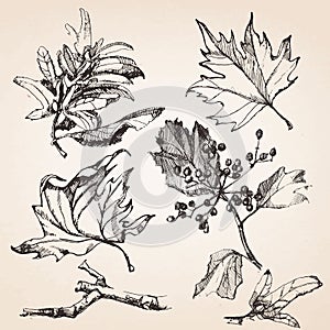 Hand-drawn Kitchen Set.