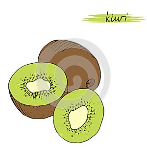 Hand drawn kiwi isolated on white background.