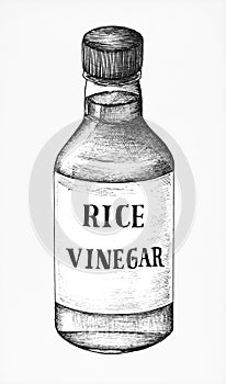 Hand drawn komezu rice vinegar