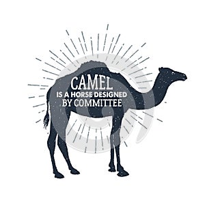 Hand drawn label with textured camel vector illustration and lettering.