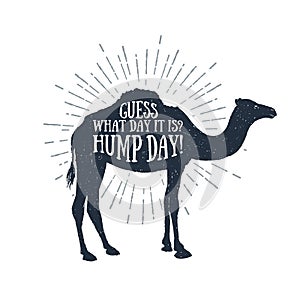 Hand drawn label with textured camel vector illustration and lettering. photo