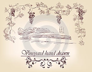 Hand drawn label vineyards photo