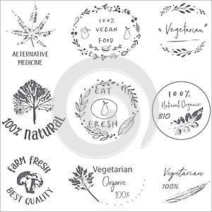 Hand drawn labels and elements collection for organic food and drink.Elements collection for food market labels