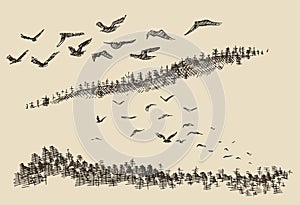 Hand drawn landscape flying birds forest vintage