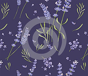 Hand drawn lavender flower pattern