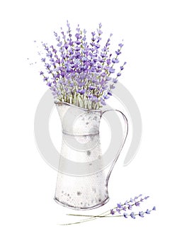 Hand-drawn lavender flowers with leaves in pot closeup isolated on a white background. Hand painting on paper. Watercolor illustra