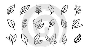 Hand drawn leaf eco set. Black line doodle leaf icons