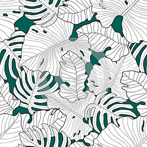 Hand drawn leaves of monstera, palm and other tropical plants on turquoise background. Seamless jungle floral pattern.