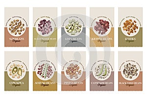 Hand drawn legumes vector set