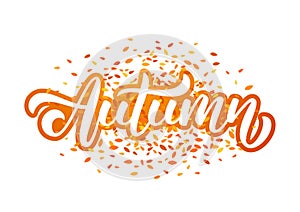 Hand drawn lettering composition of Autumn with fall leaves