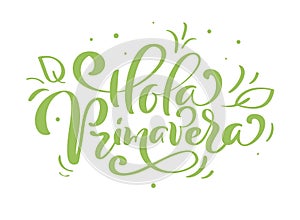 Hand drawn lettering Hola primavera in Spanish. Hello Spring vector illustration. Spring green leaves and grass greeting