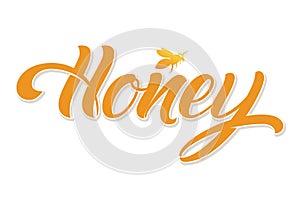Hand drawn lettering Honey. Elegant modern handwritten calligraphy. Vector Ink illustration. Typography poster on white