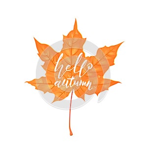 Hand drawn lettering of a phrase Hello Autumn. Vector illustration on white. Shape of maple leaf. Creative design element