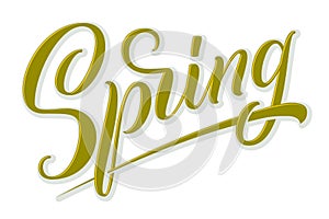 Hand drawn lettering Spring with shdow and highlights. Elegant modern handwritten calligraphy. Vector Ink illustration