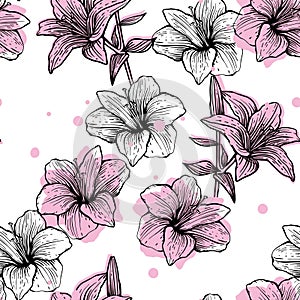 Hand drawn lily flower illustration set. Vector stock clip art