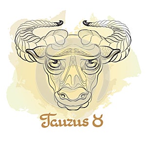 Hand drawn line art of decorative zodiac sign Taurus.