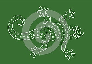 Hand drawn line art with gecko silhouette