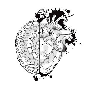 Hand drawn line art human brain and heart halfs. Grunge sketch ink tattoo design on white background vector illustration