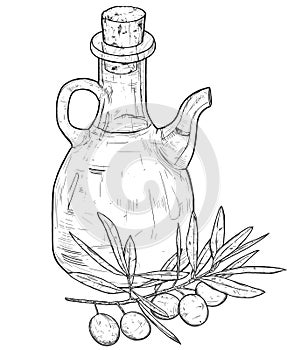 Hand drawn line art illustration of olive oil with olives. Isola
