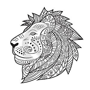 Hand drawn lion isolated on white background