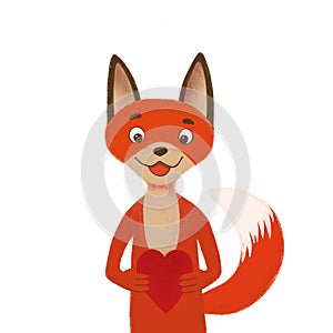 Hand drawn little red fox in love with heart gift in his hands. Isolated on white, typography poster. Cartoon fox illustration for