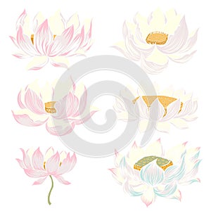 Hand drawn lotus isolate vector set and Japanese tattoo