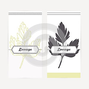 Hand drawn lovage in outline and silhouette style. Spicy herbs