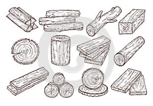 Hand drawn lumber. Sketch wood logs, trunk and planks. Stacked tree branches, forestry construction material vintage photo