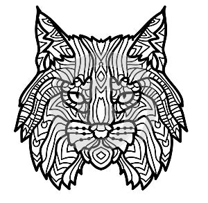 Hand drawn lynx head animal isolated. Doodle line graphic