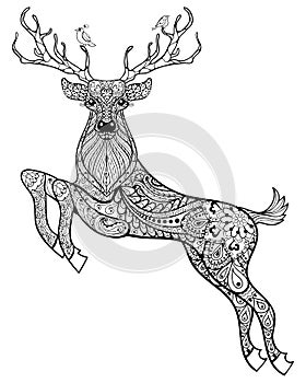 Hand drawn magic horned deer with birds for adult anti stress Co