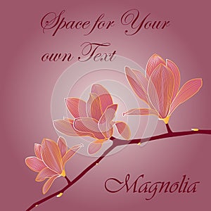 Hand drawn magnolia branch, golden gradient lines on pink background.