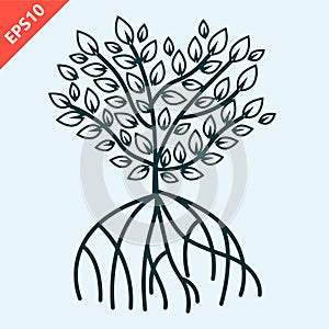 Hand drawn Mangrove tree vector design illustration
