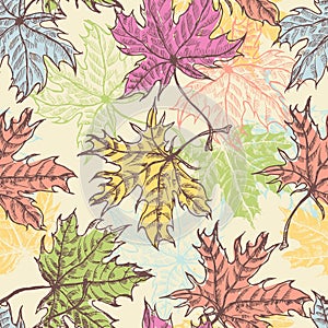 Hand drawn maple foliage seamless pattern