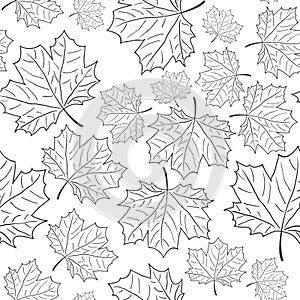 Hand Drawn Maple Leaf Seamless Pattern. Vector