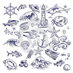 Hand drawn marine set. Sea ocean voyage lighthouse shark crab octopus starfish knot crab shell lifebuoy collection photo