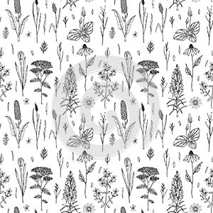 Hand drawn meadow flowers seamless pattern. Vector illustration in sketch style