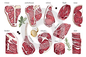 Hand drawn meat elements set. Steak cuts set.