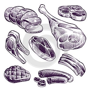 Hand drawn meat. Steak, beef and pork, lamb grill meat and sausage vintage sketch vector illustration