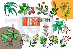 Hand Drawn Medicinal Herbs Concept