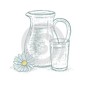 Hand drawn milk jug and glass of milk with daisy. Vector sketch