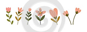 Hand drawn minimal flowers. Floral springtime prints design. Isolated on white background. Vector stock illustration