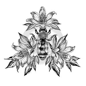 Hand Drawn Monochrome Bee with Lily Flowers