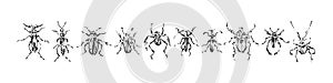 Hand drawn monochrome beetles set. Sketch style vector illustration. Black isolated bugs insect, design elements on white