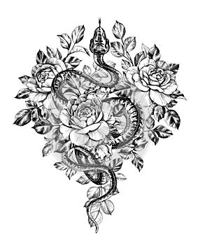 Hand Drawn Monochrome Creeping Python wth Roses