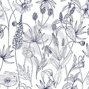 Hand drawn monochrome floral seamless pattern with gorgeous vintage wild flowers, herbs and herbaceous plants on white