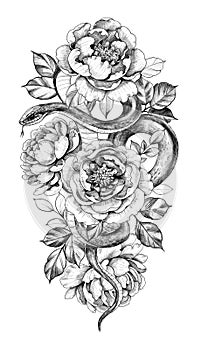 Hand Drawn Monochrome Snake and Peony Flowers