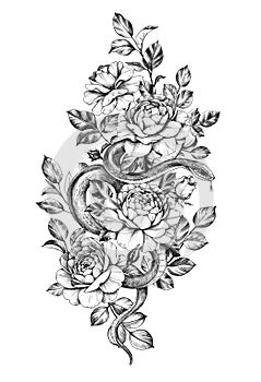 Hand Drawn Monochrome Snake among  Roses