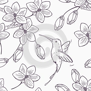 Hand drawn monochrome version of seamless pattern with humming bird colibri and flowers