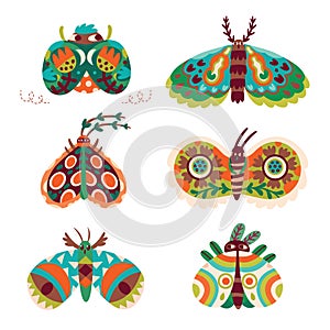 Hand drawn moth collection with floral ornaments