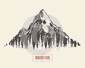 Hand drawn mountain landscape pine forest vector